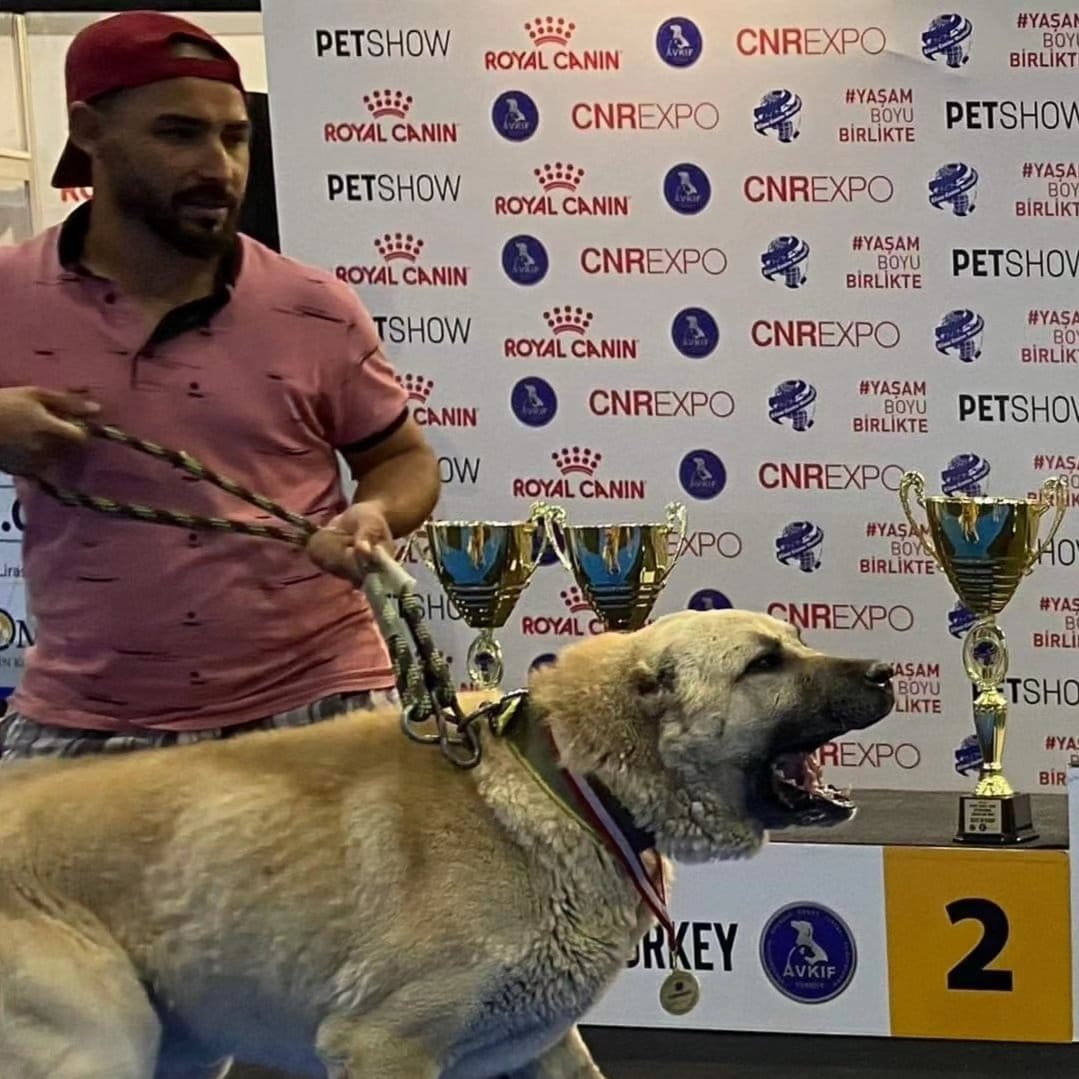 Gürünlü Emrah Söylemez ödüllü kangal üreticisi